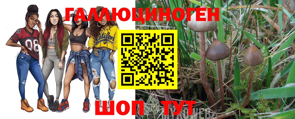 Псилоцибиновые грибы Psilocybine cubensis Новый Уренгой